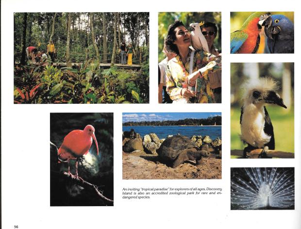 Disney Guidebook Pictures0014