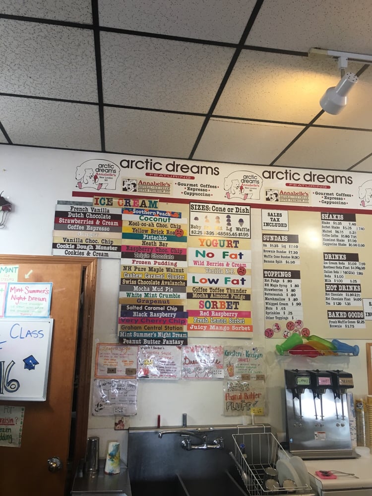 arctic dreams inside